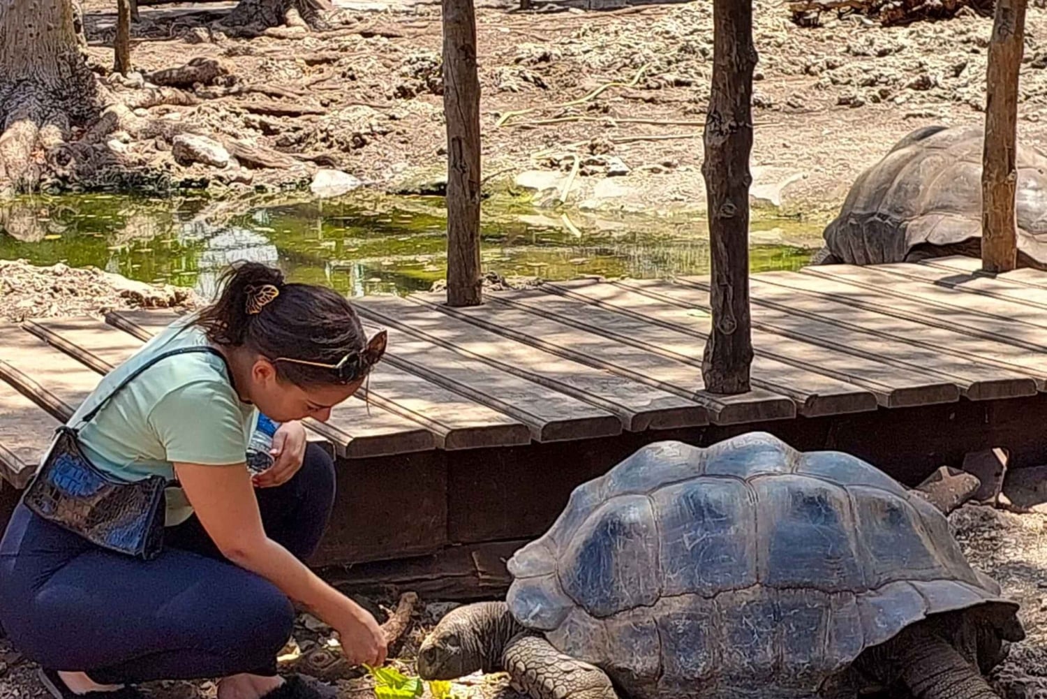 Wycieczka po Kamiennym Mieście, Prison Island i Nakupenda z lunchem z grilla