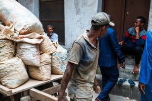 Zanzibar: Stone Town Historical Cultural Walking Guided Tour