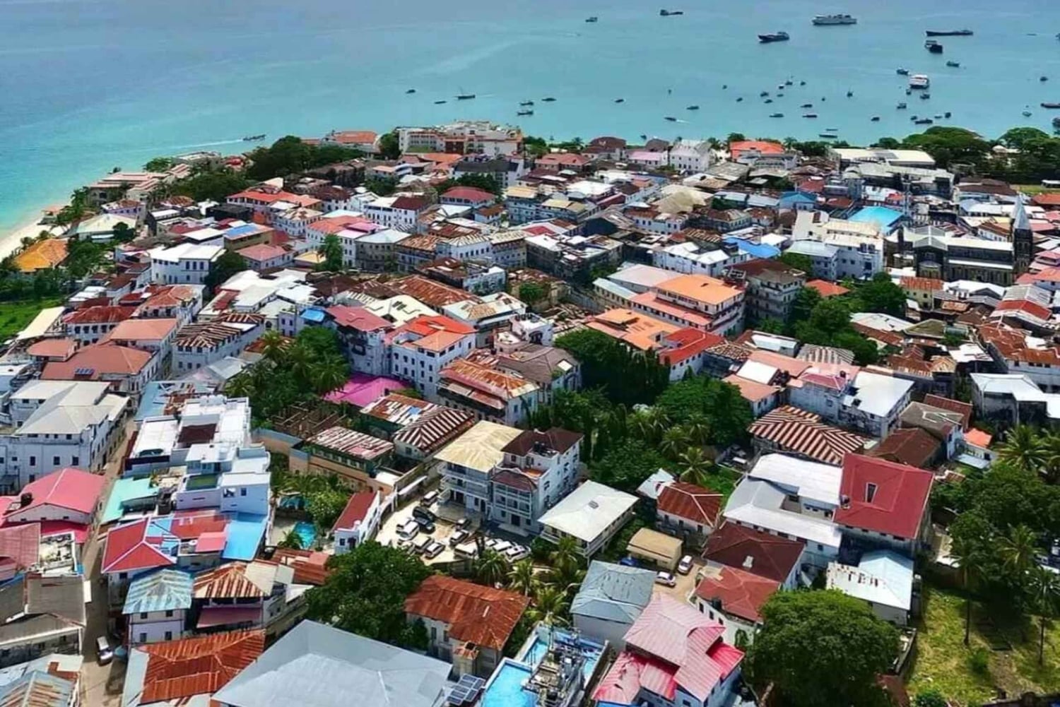 Stone Town Walking Tour and coconut tasting