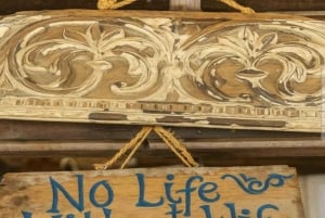 Stone Town Walking Tour and coconut tasting