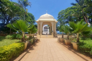 Byvandring i steinbyen (byrundtur)