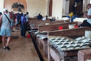 Byvandring i steinbyen (byrundtur)