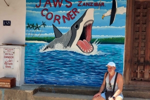 Byvandring i steinbyen (byrundtur)