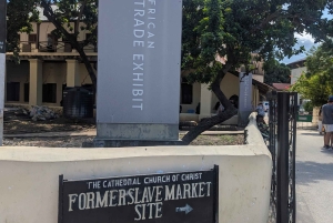 Byvandring i steinbyen (byrundtur)