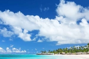Zanzibar: Prison Island, Spice Farm Tour & Jozani with Lunch