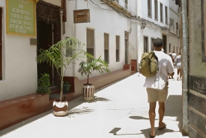 Stone Town: Vandretur med engelsk eller tysk guide