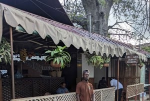 Die verborgene Geschichte von Stone Town: Private geführte Tour zu Fuß