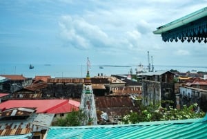 Zanzibar: Stone town Street kulinarisk omvisning til fots, transfer