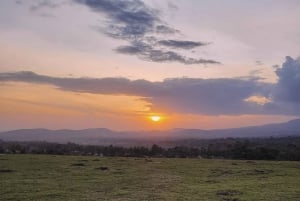 Solnedgangstur i Arusha