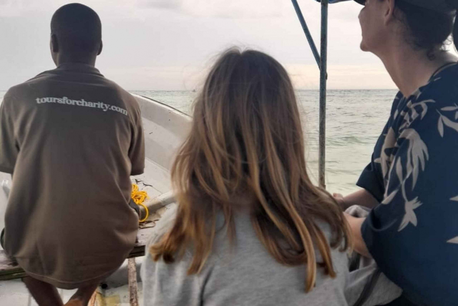 Simma med delfiner och sköldpaddor för att hjälpa människor på Zanzibar