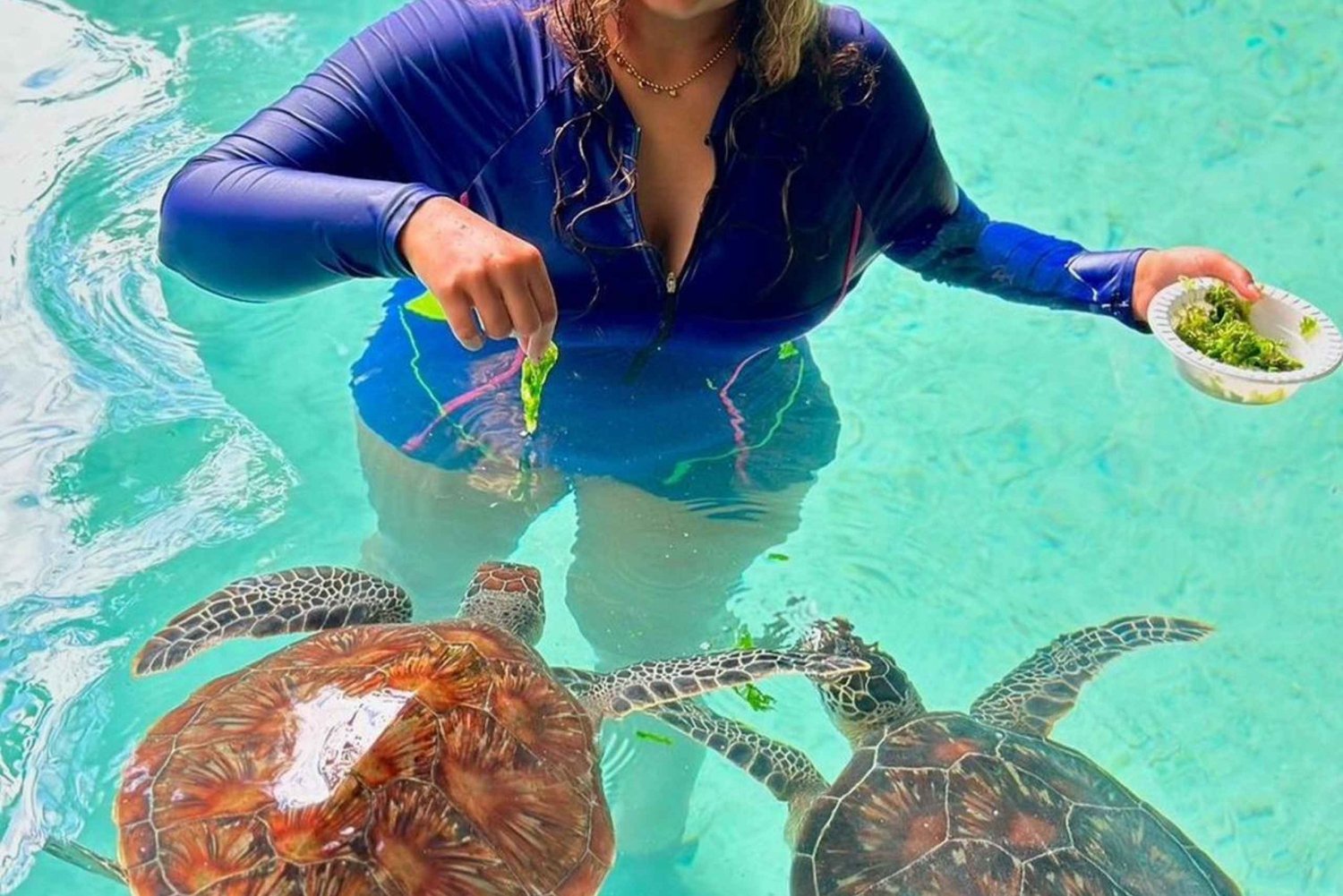 Baño con tortugas en la cueva de Salaam y visita al restaurante The rock
