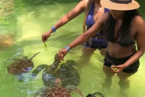 Swim with Turtles at The Lagoons Zanzibar & Stone Town Tour