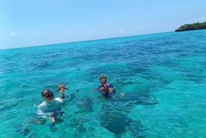 Nadar com golfinhos e mergulhar com snorkel em Kizimakazi