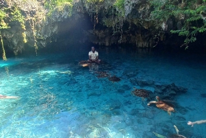 Zwemmen met dolfijnen in Kizimkazi + snorkelen