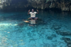 Zwemmen met dolfijnen in Kizimkazi + snorkelen