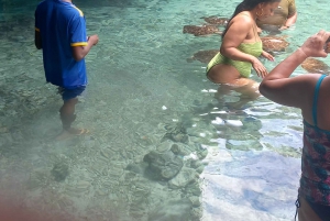 Zwemmen met dolfijnen in Kizimkazi + snorkelen