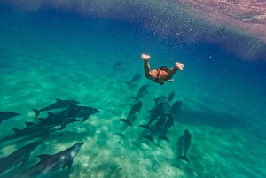 Pływanie z delfinami w Kizimkazi