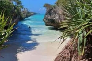 サラム洞窟、ムテンデビーチ、ザ・ロックでウミガメと泳ぎましょう