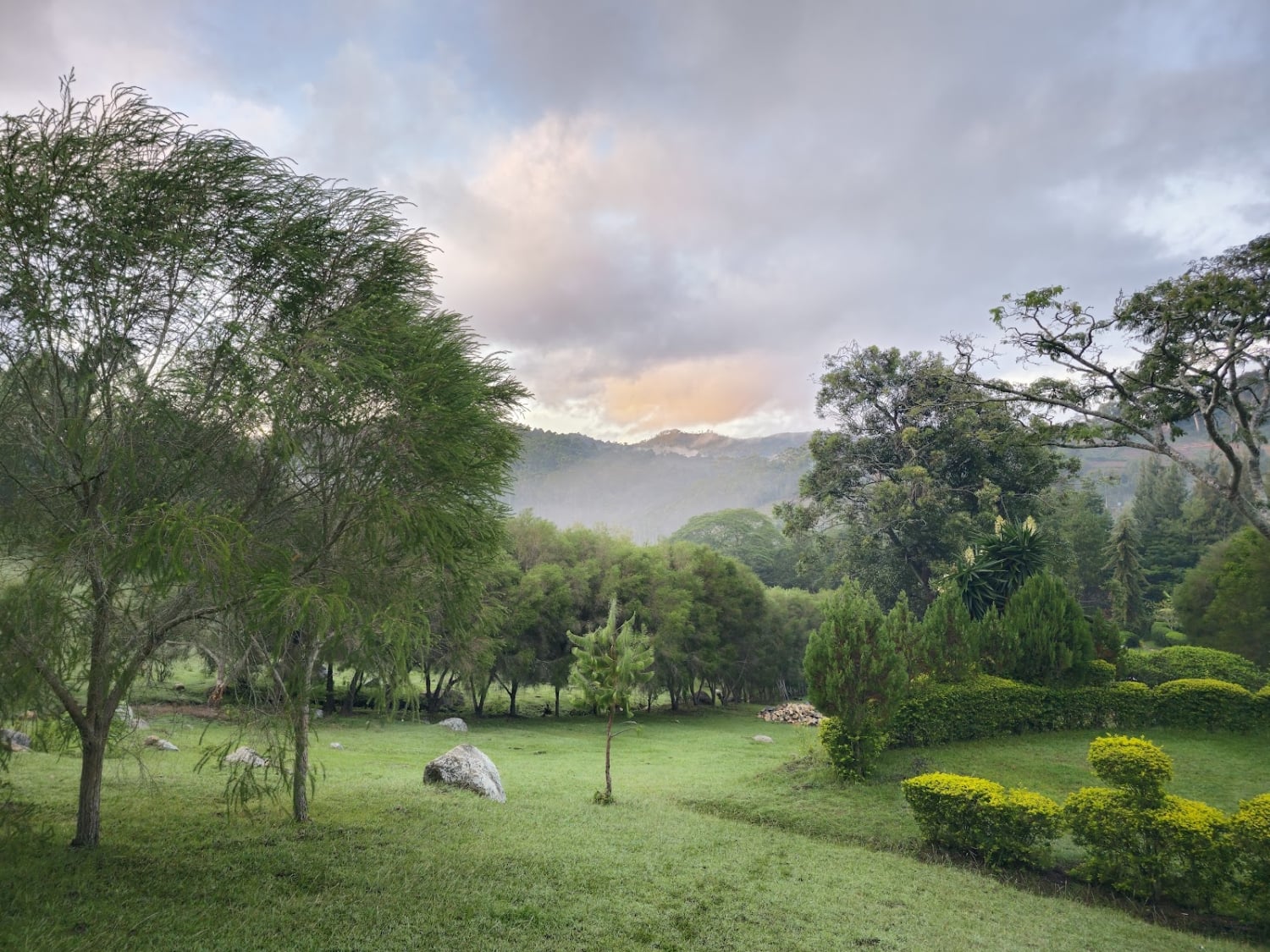 Swissfarm Cottages Resort