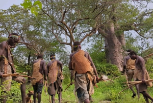 El mejor safari de un día al cráter Ngorongoro en Tanzania