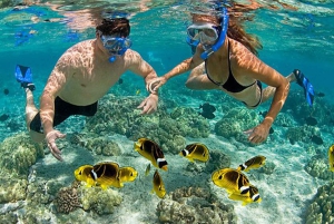 El mejor safari de un día al cráter Ngorongoro en Tanzania