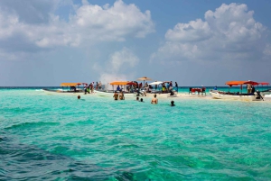 El mejor safari de un día al cráter Ngorongoro en Tanzania