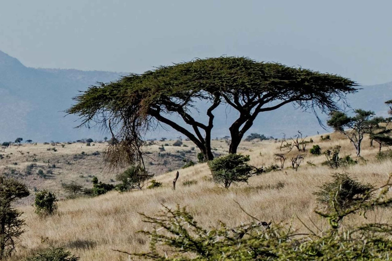 Tanzania: 10-Day Community Safari from Coast to Lakes