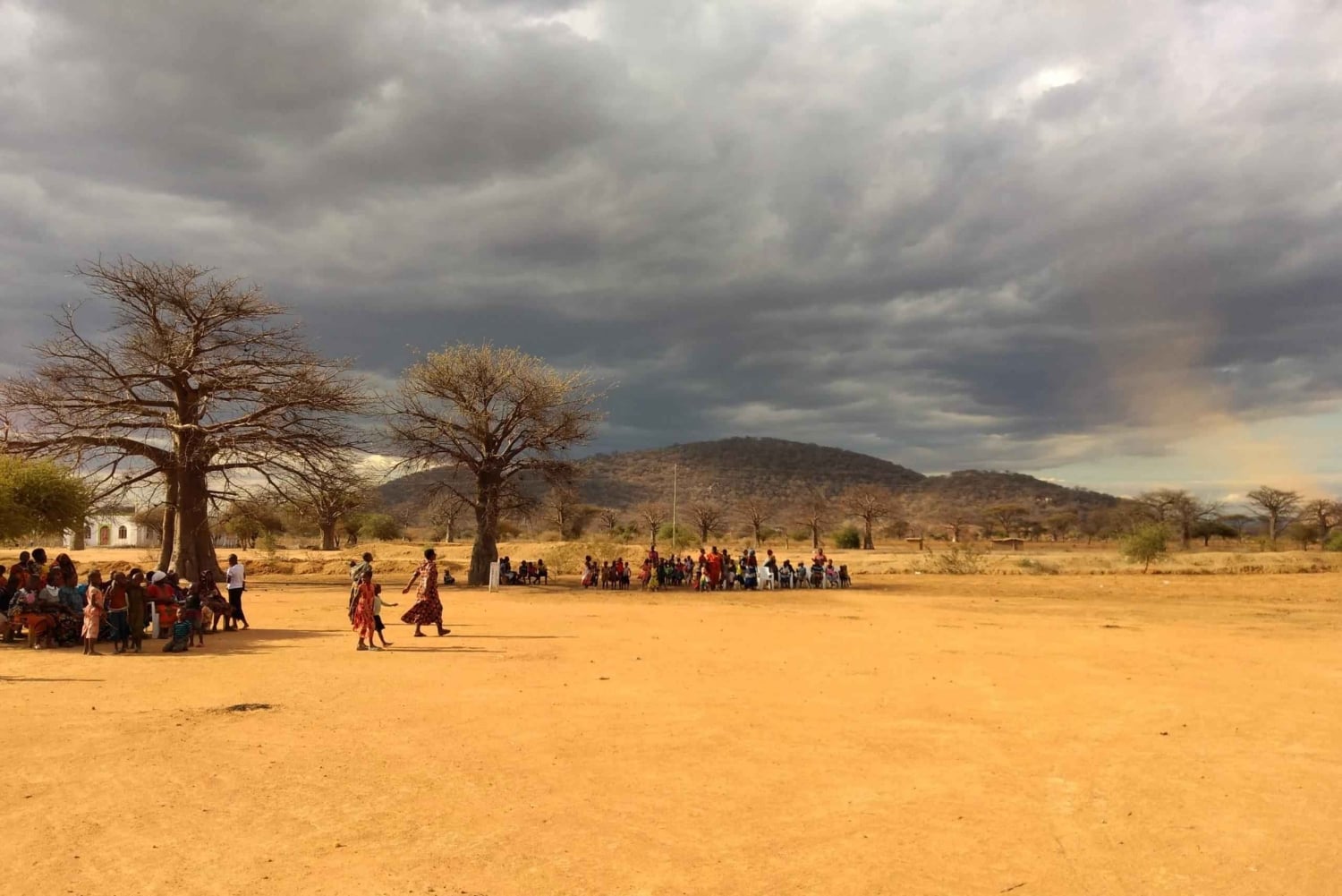 Tanzania: 10-Day Community Safari from Coast to Lakes