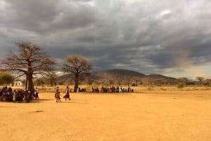 Tanzania: 10-Day Community Safari from Coast to Lakes