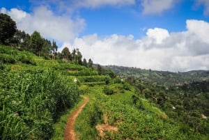 Tanzania: 10-Day Community Safari from Coast to Lakes