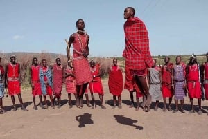 Tanzania: 10-Day Community Safari from Coast to Lakes