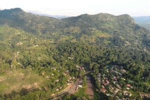 Tanzania: 10-Day Community Safari from Coast to Lakes