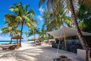 Tansania: 10-tägige Safari und Strandurlaub auf Sansibar