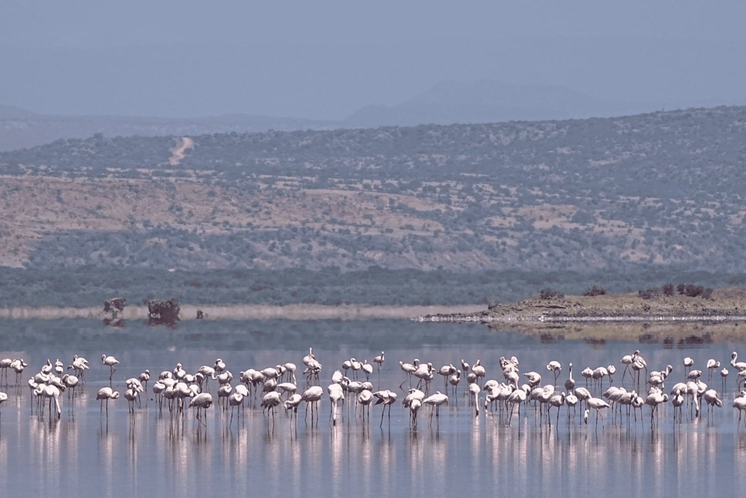 Tanzania: Safari de 13 días y vacaciones en la playa de Zanzíbar