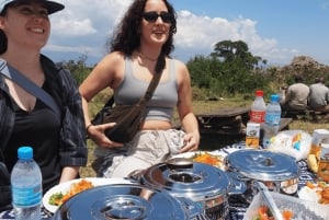 Tanzania: Safari de 13 días y vacaciones en la playa de Zanzíbar