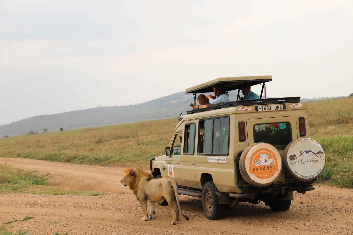 Tanzânia: Safári de 2 dias em Tarangire e na cratera de Ngorongoro