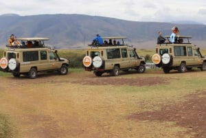 Tanzania: Safari de 2 días por Tarangire y el cráter del Ngorongoro