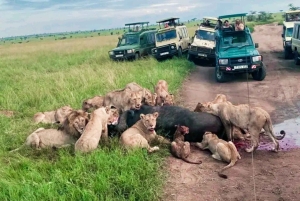 Танзания: 3-дневное сафари в Тарангире, озеро Маньяра, Нгоронгоро