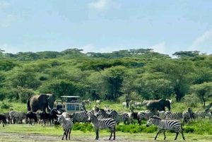 Танзания: 3-дневное сафари в Тарангире, озеро Маньяра, Нгоронгоро