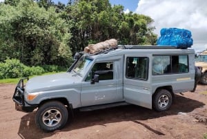 Tanzania: 4-Day Safari to Serengeti, Ngorongoro, Tarangire