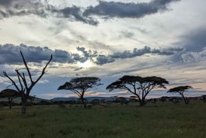 Tanzania: 4-Day Safari to Serengeti, Ngorongoro, Tarangire