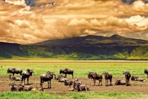 Tanzania: 3-dniowe safari do Tarangire i Ngorongoro