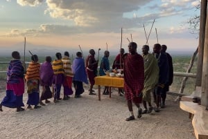 Tanzania: 4 -Day Tanzania Majestic Wildlife Experience