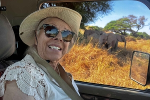 Танзания: 4 -Day Tanzania Majestic Wildlife Experience