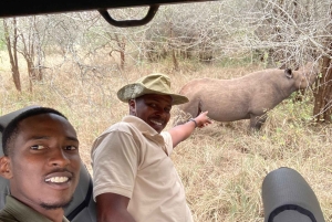 Tanzania: 4-dagers dyrelivssafari med overnattingssted