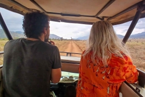 Tanzania: 4-dagers dyrelivssafari med overnattingssted