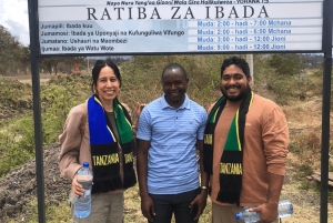 Tanzania: 4-dagers dyrelivssafari med overnattingssted