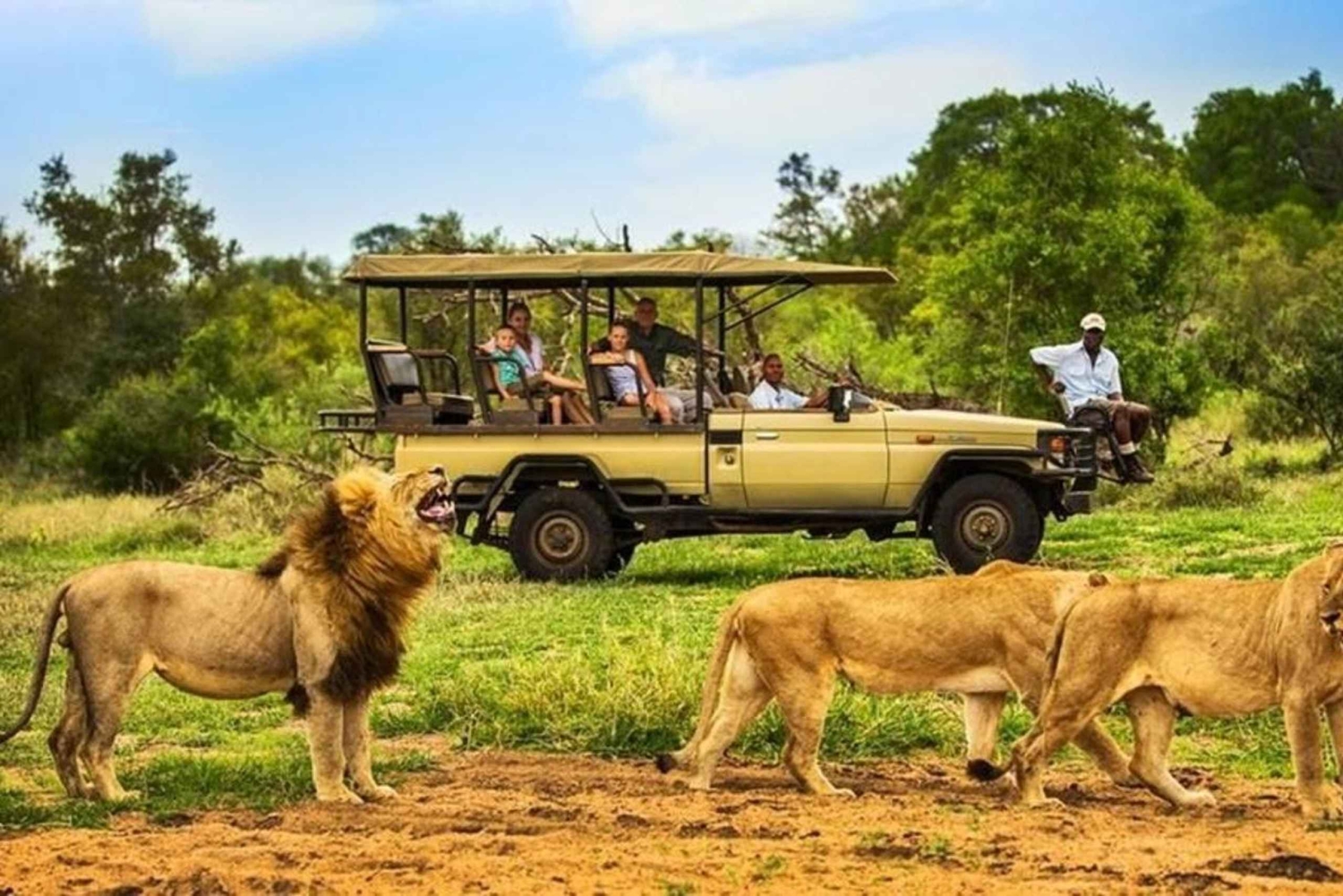 Tanzania: Safari in lodge di 5 giorni con trasferimenti aeroportuali