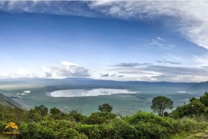 Tanzânia: Safári de 5 dias a Tarangire, Ngorongoro e Manyara