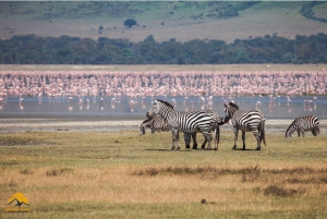 Tanzânia: Safári de 5 dias a Tarangire, Ngorongoro e Manyara